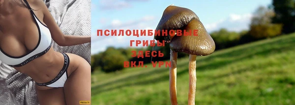 СК Михайловск
