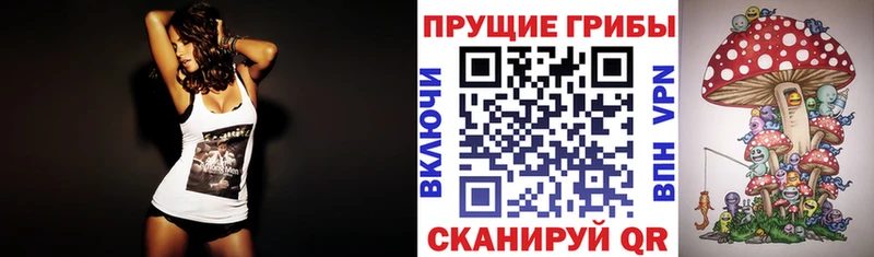 Псилоцибиновые грибы MAGIC MUSHROOMS  нарко площадка состав  Староминская  blacksprut tor 