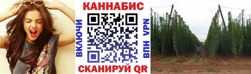 цена наркотик  Староминская  кракен как войти  Шишки марихуана AK-47 